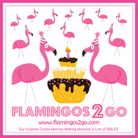 Flamingos 2 go