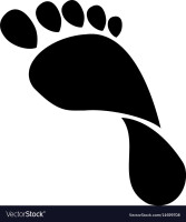 Foot