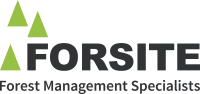 Forsite consultants ltd