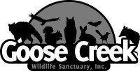 Goose creek wildlife sanctuary