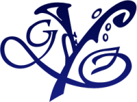 Gemini youth orchestras