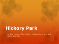 Hickory park co.