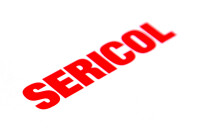 Industrial screen process services
