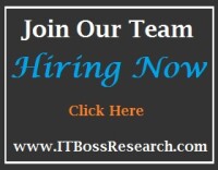 It-boss research