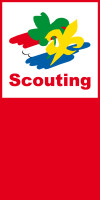 I.t. scouts
