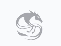 Dragonslayer ministry services