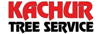 Kachur tree service llc