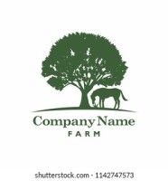 King oak farm