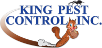 King termite control