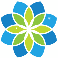 Kevin rohan memorial eco foundation