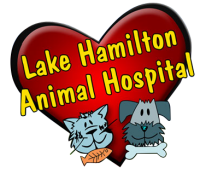 Lake hamilton animal hospital