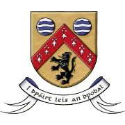 Laois county council