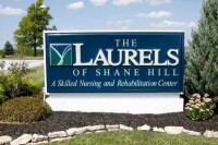 Laurels of shane hill