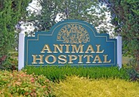 Spotsylvania animal hospital