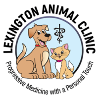 Lexington pet clinic