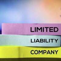 The liability place, inc