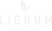 Lignum