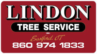 Lindon tree service