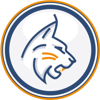 Linx corporation
