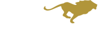 Lionheart organizing solutions llc
