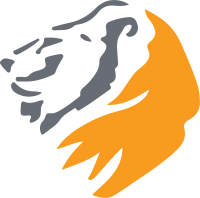 The lion risk management