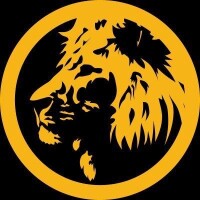 Lions krav maga