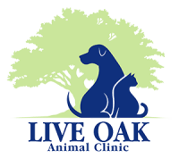 Live oak veterinary clinic