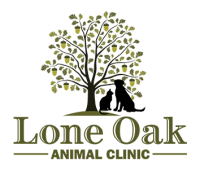 Lone oak animal clinic