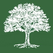 Lorien wood school