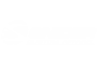 Lost search media