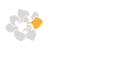 Magnolia strategies