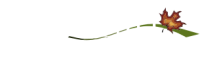 Maple hill funeral home & cemetery inc.