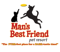 Man's best friend pet resort