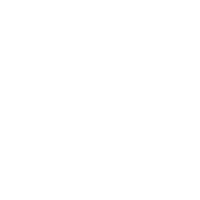 Mesh & bone