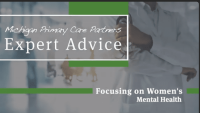 Michigan primary care partners