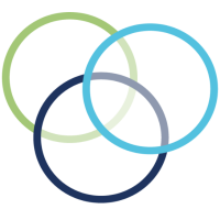 Mns consulting il