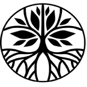 Modera group
