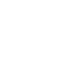 Mojo wheels