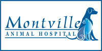 Montville animal hospital
