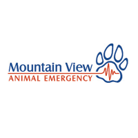 Mountain view animal emergency