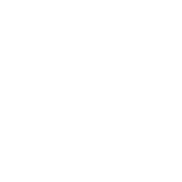 Mr bug killer