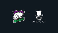 Mr. cat