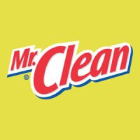 M r clean inc
