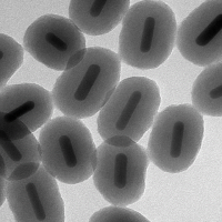 Nanohybrids