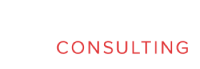 Nelson consulting group
