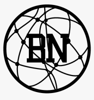 Networks basketball