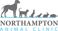 Northampton animal hospital