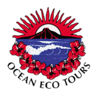 Ocean eco tours