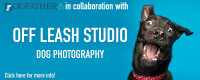 Off leash studios