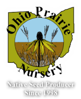 Ohio prairie nursery